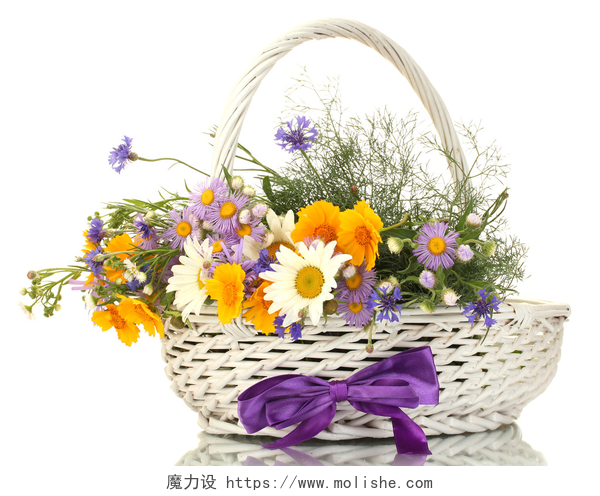 花篮里美丽的花朵束美丽的明亮的野花在篮子里上白色, 隔离